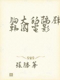 胸大的隔壁姐姐韩国电影封面