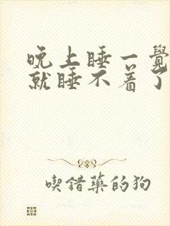 晚上睡一觉醒来就睡不着了怎么回事