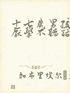 十七岁男孩叛逆厌学不听话