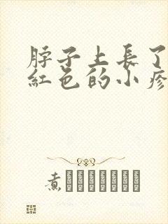 脖子上长了很多红色的小疹子不痒