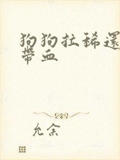 狗狗拉稀还有点带血