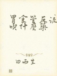 胃食管反流胃胀吃什么药