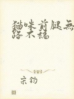 猫咪前腿无力走路不稳封面