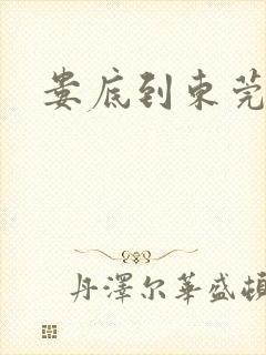 娄底到东莞物流