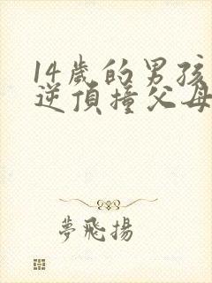 14岁的男孩叛逆顶撞父母怎么办