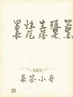 男性生殖器边缘长疙瘩是怎么回事