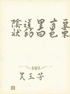 阴道里有豆腐渣状的白色东西