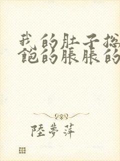 我的肚子总是饱饱的胀胀的封面