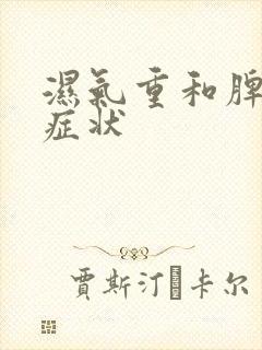 湿气重和脾胃的症状