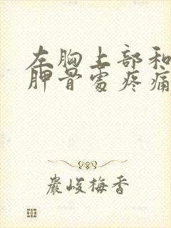 左胸上部和左肩胛骨处疼痛