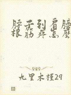 脖子到肩膀的一根筋疼怎么治封面