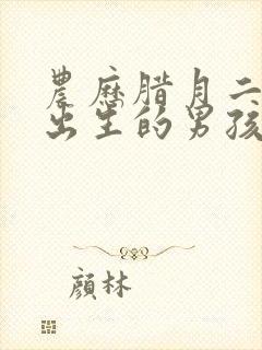 农历腊月二十四出生的男孩命运怎么样封面