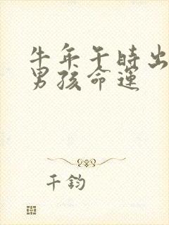 牛年午时出生的男孩命运封面