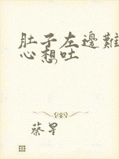 肚子左边难受恶心想吐