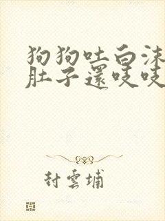 狗狗吐白沫黏液肚子还吱吱响不拉稀怎么治疗