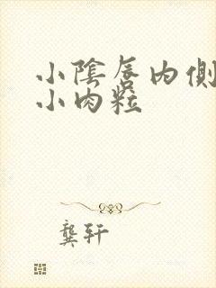 小阴唇内侧长个小肉粒