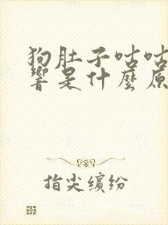 狗肚子咕咕咕的响是什么原因引起的