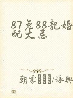 87兔88龙婚配大忌封面