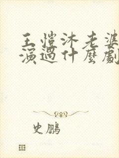 王恺沐老婆陈静演过什么剧