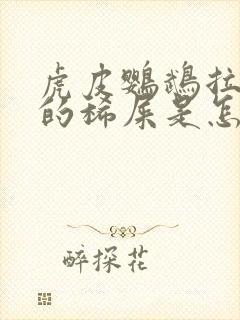 虎皮鹦鹉拉黄色的稀屎是怎么回事