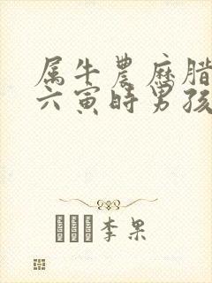 属牛农历腊月十六寅时男孩命运