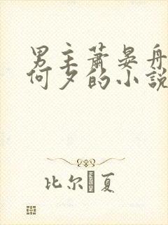 男主萧晏舟女主何夕的小说