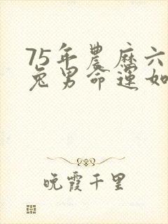 75年农历六月兔男命运如何