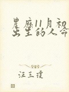 农历11月初三出生的人命运