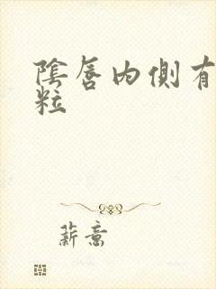 阴唇内侧有小肉粒封面