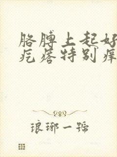 胳膊上起好多小疙瘩特别痒