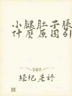 小腿肚子胀痛是什么原因引起的封面