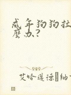 成年狗狗拉稀怎么办?封面