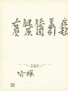 右腿膝盖疼痛什么原因引起的