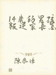 14岁的男孩子叛逆家长怎么办