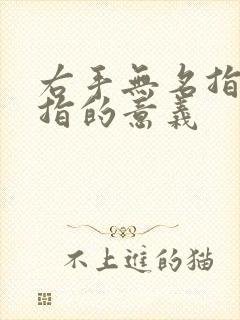 右手无名指带戒指的意义封面