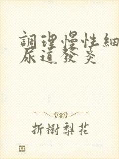 调理慢性细菌性尿道发炎