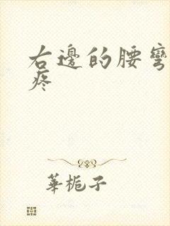 右边的腰弯腰就疼封面