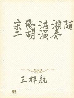 宋飞洪湖随想曲二胡演奏