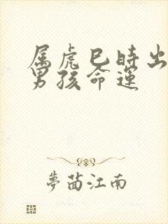 属虎巳时出生的男孩命运