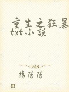 重生之狂暴火法txt小说