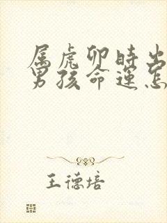 属虎卯时出生的男孩命运怎么样封面