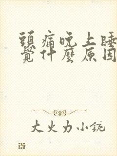 头痛晚上睡不着觉什么原因