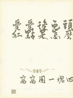 爱爱后龟头上有红点是怎么回事