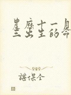 农历十一月二十三出生的命运封面