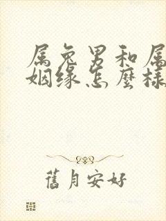 属兔男和属龙女姻缘怎么样