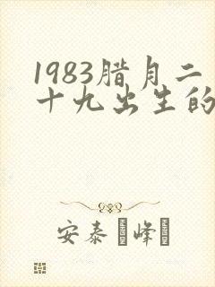 1983腊月二十九出生的男孩命运