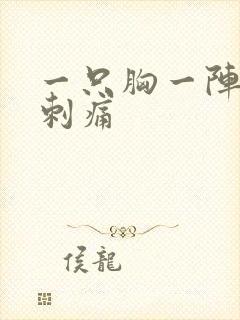 一只胸一阵一阵刺痛封面