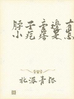 脖子旁边有很多小疙瘩是怎么回事