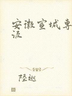 安徽宣城专线物流