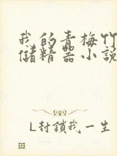 我的青梅竹马是储精器小说封面